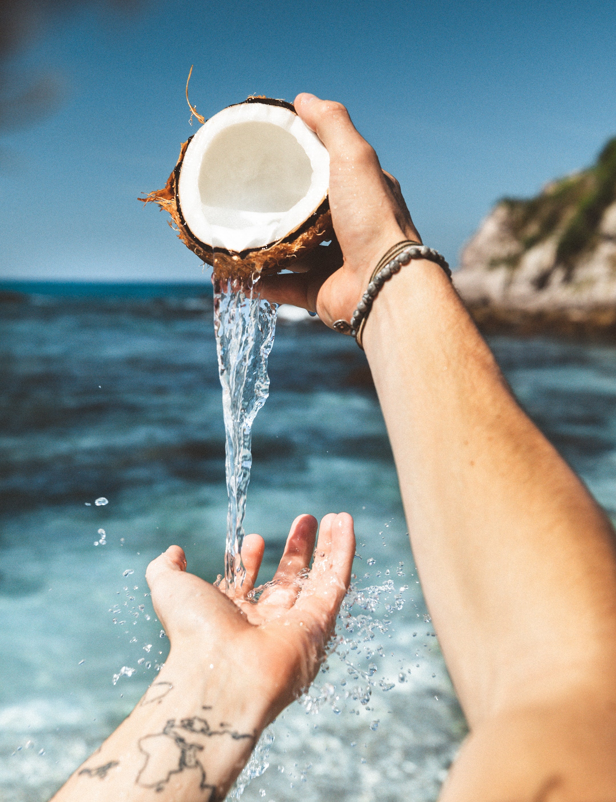 Coco For Coconuts!